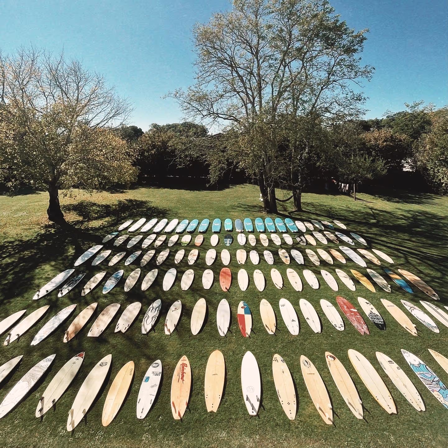 3 surfers carrying softboards